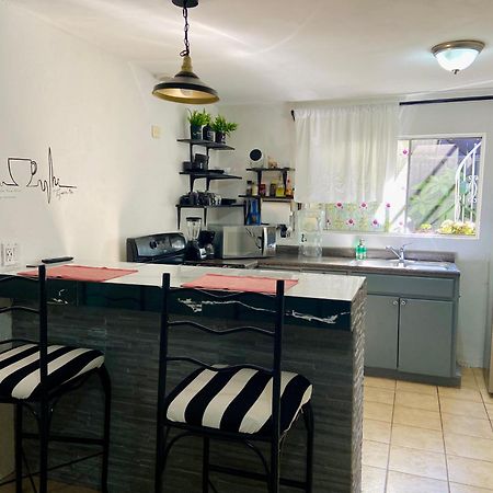 Zebra Studio Tijuana Exteriör bild